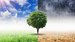 Bildretusche Klimawandel