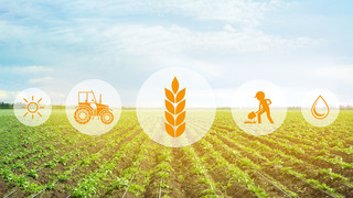 Landwirtschaft Feld und Icons